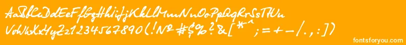 フォントOlga – オレンジの背景に白い文字