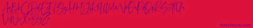 Oliver Notes Font – Purple Fonts on Red Background