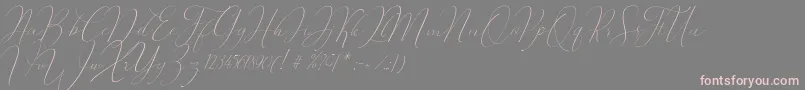 Oliverra Font – Pink Fonts on Gray Background