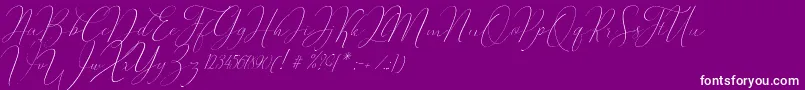 Oliverra-Schriftart – Weiße Schriften auf violettem Hintergrund