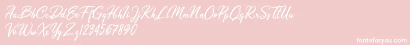 Olivia Dhorgent Font – White Fonts on Pink Background