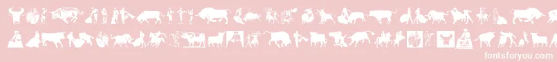 OlР’ Torero-Schriftart – Weiße Schriften auf rosa Hintergrund