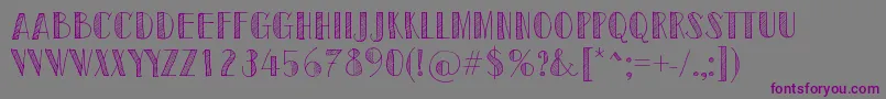 SketchToronto Font – Purple Fonts on Gray Background