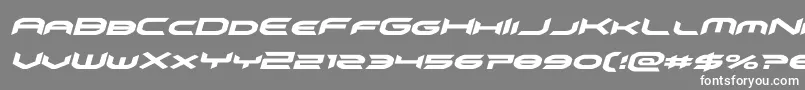 omnigirlital Font – White Fonts on Gray Background