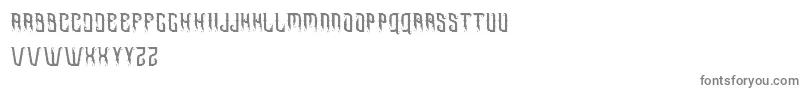 More about Omnivorous free Font Omnivorous free Font – Gray Fonts on White Background