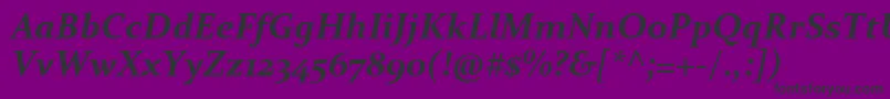 ConstantiaBoldItalic Font – Black Fonts on Purple Background