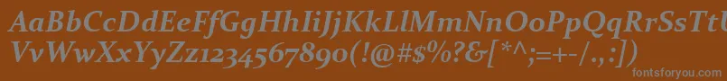 ConstantiaBoldItalic Font – Gray Fonts on Brown Background