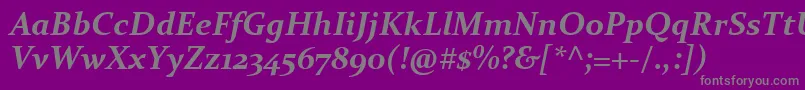 ConstantiaBoldItalic Font – Gray Fonts on Purple Background