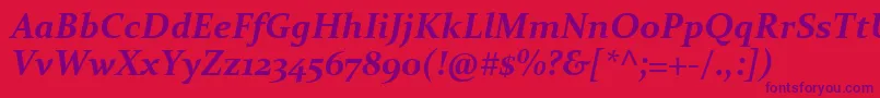 ConstantiaBoldItalic Font – Purple Fonts on Red Background