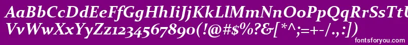 ConstantiaBoldItalic Font – White Fonts on Purple Background