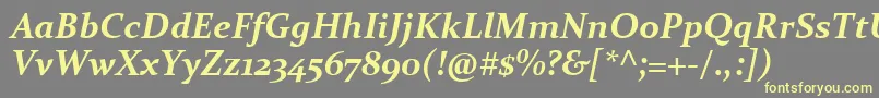 Czcionka ConstantiaBoldItalic – żółte czcionki na szarym tle