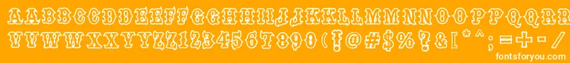 one percent font Font – White Fonts on Orange Background