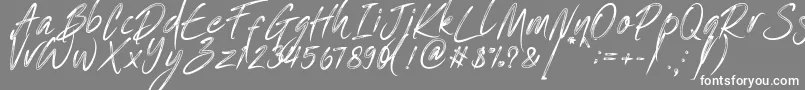 One Piece   PERSONAL USE Font – White Fonts on Gray Background