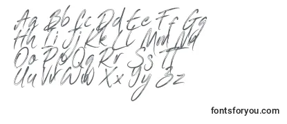 Review of the One Piece   PERSONAL USE Font