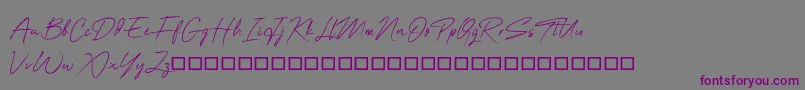 OneSignature-Schriftart – Violette Schriften auf grauem Hintergrund