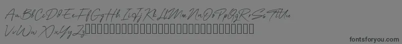 OneSignature Font – Black Fonts on Gray Background