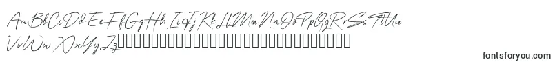OneSignature-fontti – Fontit Sony Vegas Prolle