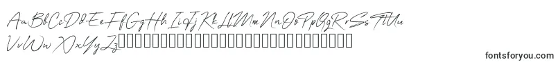 Czcionka OneSignature – czcionki dla Adobe Muse