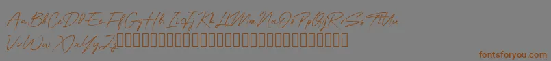 OneSignature-fontti – ruskeat fontit harmaalla taustalla