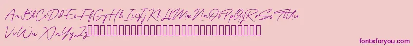 OneSignature Font – Purple Fonts on Pink Background