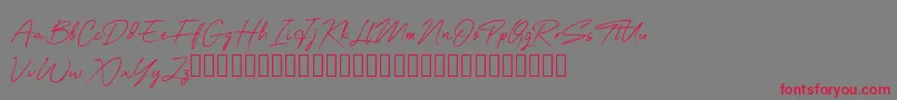 フォントOneSignature – 赤い文字の灰色の背景