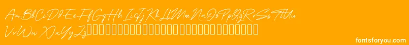 OneSignature-Schriftart – Weiße Schriften auf orangefarbenem Hintergrund