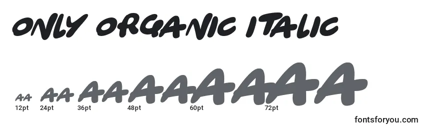 Размеры шрифта Only Organic Italic