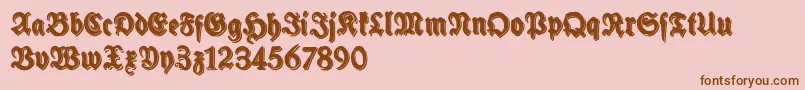 SchneidlerHalbFetteShadowFree Font – Brown Fonts on Pink Background