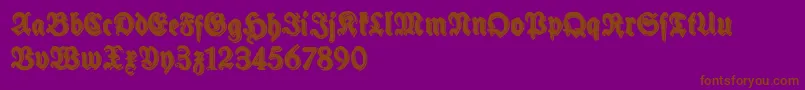 SchneidlerHalbFetteShadowFree Font – Brown Fonts on Purple Background