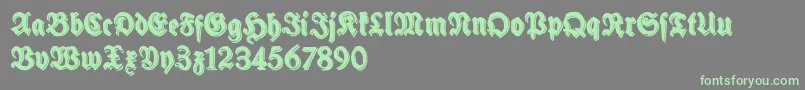 SchneidlerHalbFetteShadowFree Font – Green Fonts on Gray Background