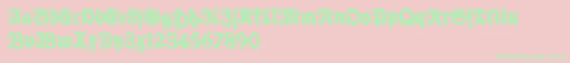 SchneidlerHalbFetteShadowFree Font – Green Fonts on Pink Background
