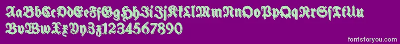 フォントSchneidlerHalbFetteShadowFree – 紫の背景に緑のフォント