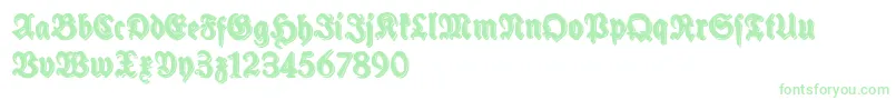 SchneidlerHalbFetteShadowFree Font – Green Fonts