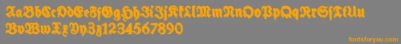 SchneidlerHalbFetteShadowFree Font – Orange Fonts on Gray Background