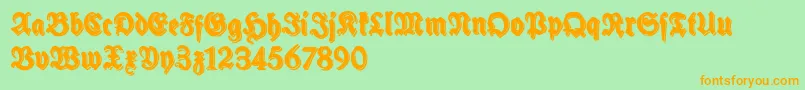 SchneidlerHalbFetteShadowFree Font – Orange Fonts on Green Background