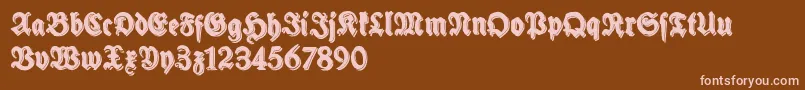 SchneidlerHalbFetteShadowFree Font – Pink Fonts on Brown Background