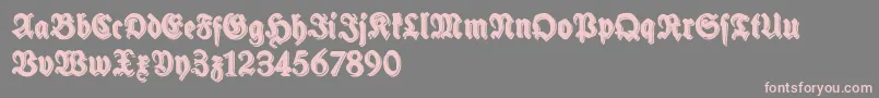 SchneidlerHalbFetteShadowFree-Schriftart – Rosa Schriften auf grauem Hintergrund