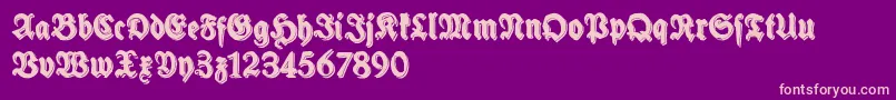 SchneidlerHalbFetteShadowFree-Schriftart – Rosa Schriften auf violettem Hintergrund