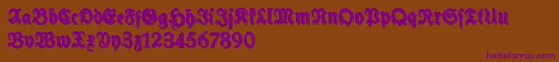 SchneidlerHalbFetteShadowFree-fontti – violetit fontit ruskealla taustalla