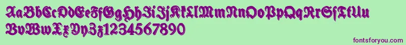 SchneidlerHalbFetteShadowFree-Schriftart – Violette Schriften auf grünem Hintergrund