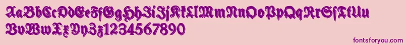 SchneidlerHalbFetteShadowFree-Schriftart – Violette Schriften auf rosa Hintergrund