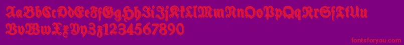 SchneidlerHalbFetteShadowFree Font – Red Fonts on Purple Background