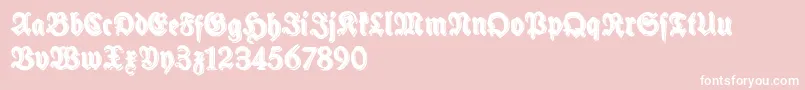 SchneidlerHalbFetteShadowFree-Schriftart – Weiße Schriften auf rosa Hintergrund