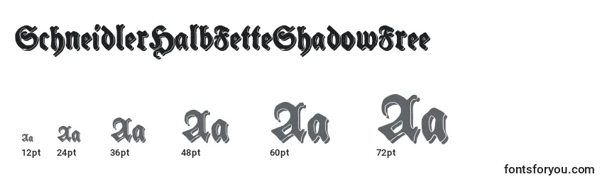 Размеры шрифта SchneidlerHalbFetteShadowFree
