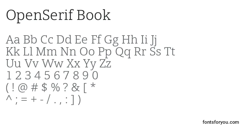 Schriftart OpenSerif Book – Alphabet, Zahlen, spezielle Symbole