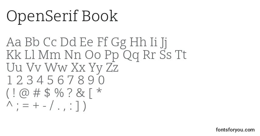 OpenSerif Book Font – alphabet, numbers, special characters