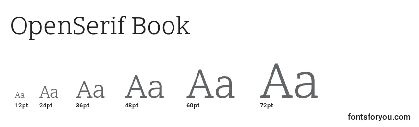 OpenSerif Book Font Sizes