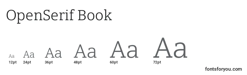 Размеры шрифта OpenSerif Book