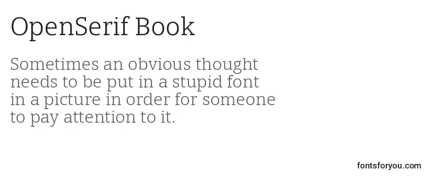 Шрифт OpenSerif Book