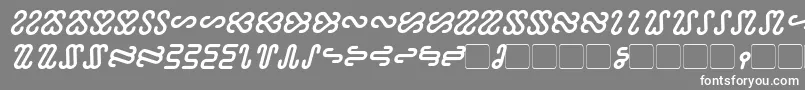 Ophidian Bold Italic-fontti – valkoiset fontit harmaalla taustalla